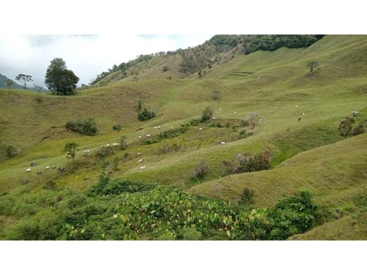 Gutshaus oder Landhaus in San Roque, Departamento de Antioquia