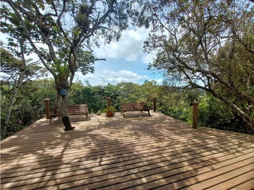 전원/농가 / Envigado, Departamento de Antioquia