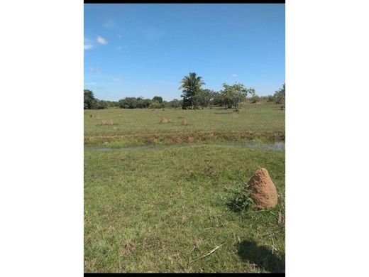 Сельский Дом, Картахена, Cartagena de Indias