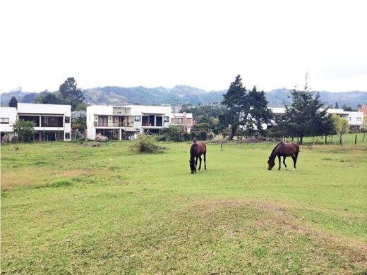 토지 / Retiro, Departamento de Antioquia