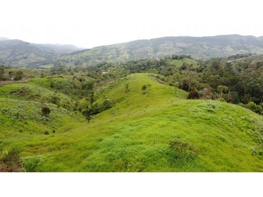 Boerderij in Suaita, Departamento de Santander