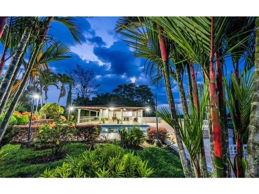 Otel Alcalá, Departamento del Valle del Cauca