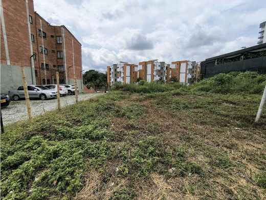 Arsa Armenia, Quindío Department