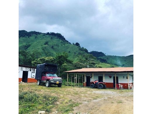 Rustik ya da çiftlik Riosucio, Departamento de Caldas