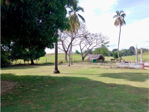 Rustico o casale a Pueblo Nuevo, Departamento de Córdoba