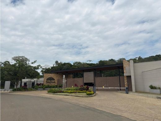 地皮  卡利, Cali