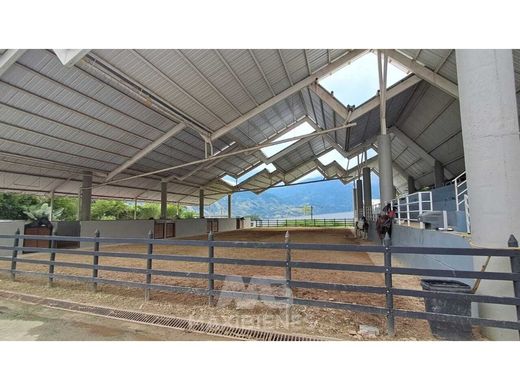 Ferme à Bello, Departamento de Antioquia