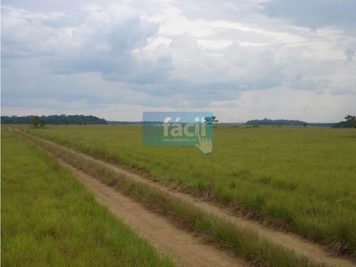 Rustico o casale a Cumaribo, Departamento del Vichada