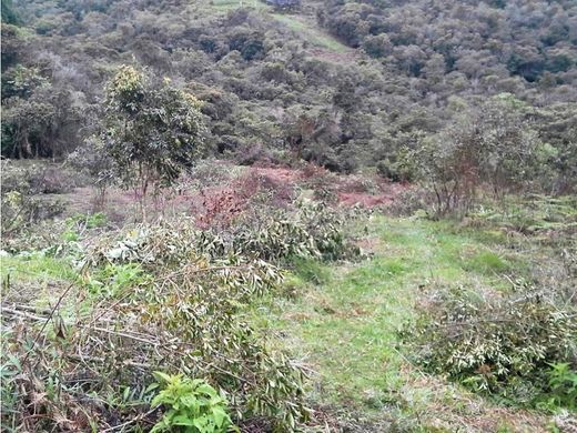 Grundstück in Guarne, Departamento de Antioquia