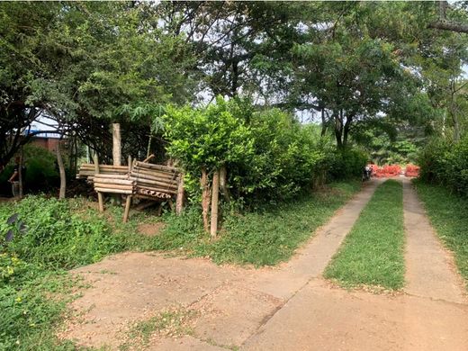 地皮  卡利, Cali