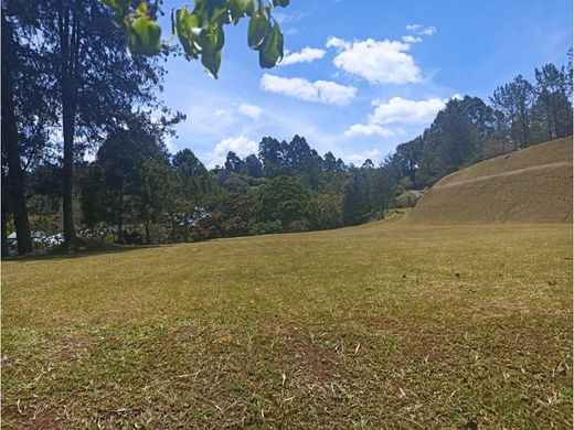 地皮  Rionegro, Departamento de Antioquia