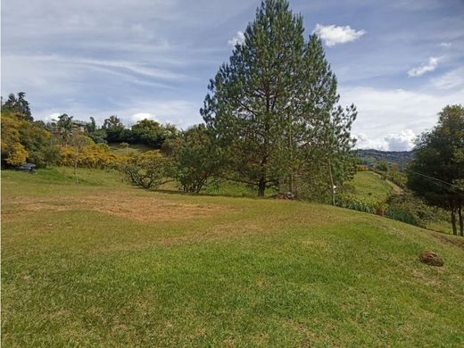 Teren w Guarne, Departamento de Antioquia