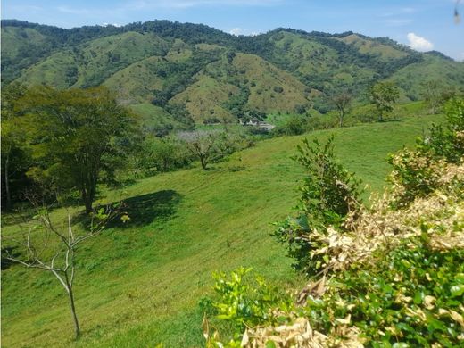 村舍/农舍  Pereira, Departamento de Risaralda