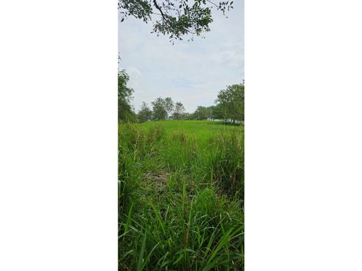 ‏בתים כפריים או חוות ב  Manizales, Departamento de Caldas