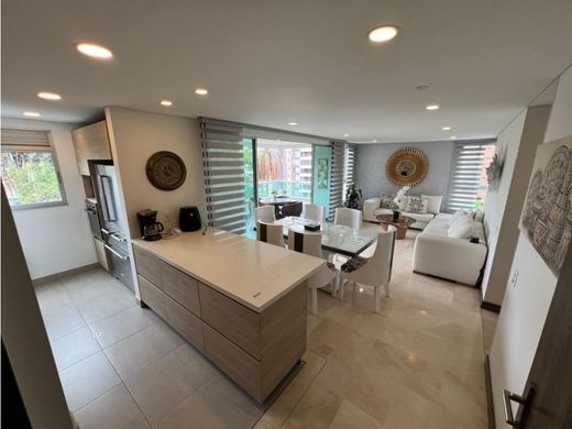 Daire Medellín, Departamento de Antioquia