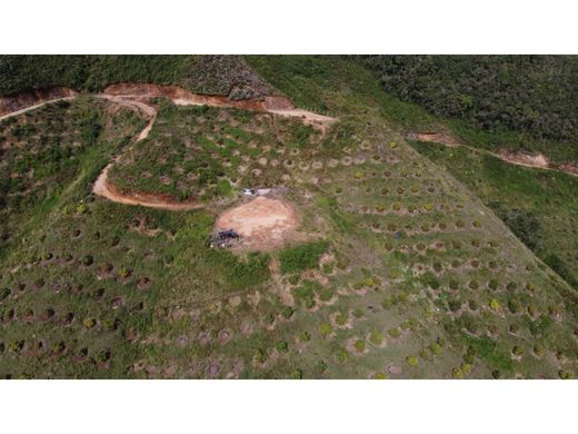 Rustik ya da çiftlik La Ceja, Departamento de Antioquia
