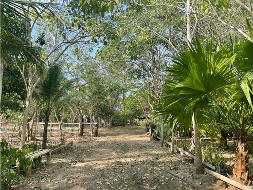 Land in Cartagena, Cartagena de Indias