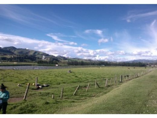 Terrain à Chocontá, Departamento de Cundinamarca