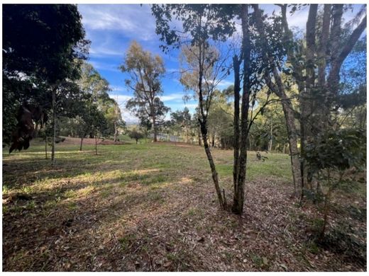 Land in Rionegro, Departamento de Antioquia