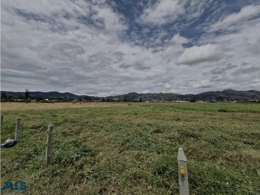 토지 / La Ceja, Departamento de Antioquia