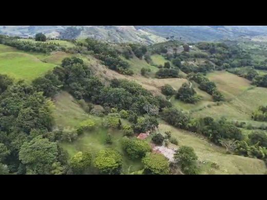 Gutshaus oder Landhaus in Montenegro, Quindío Department