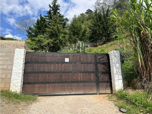 Casale a Sabaneta, La Estrella