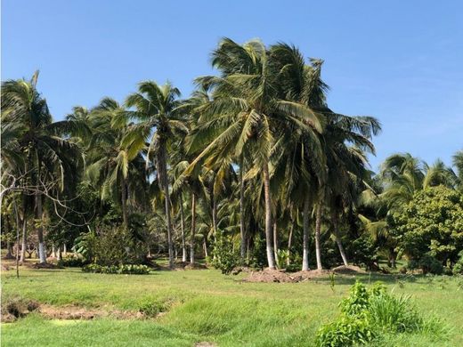 Land in Clemencia, Departamento de Bolívar