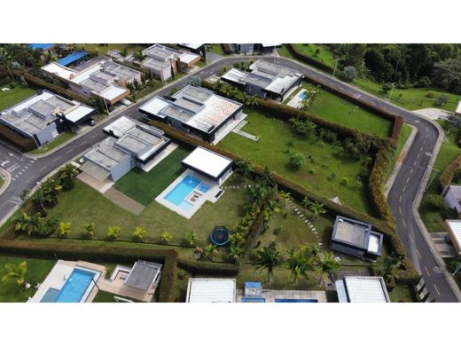 Gospodarstwo w Pereira, Departamento de Risaralda