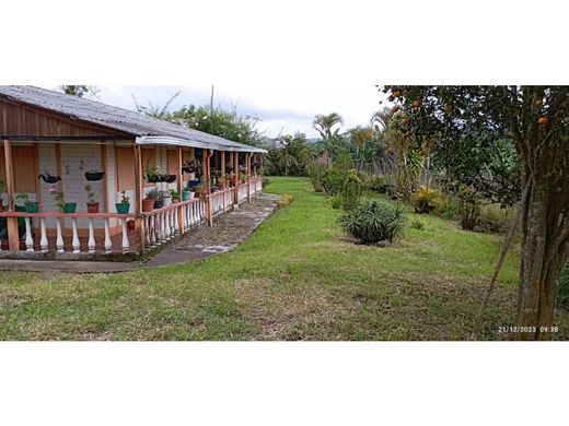 Rustik ya da çiftlik Armenia, Quindío Department