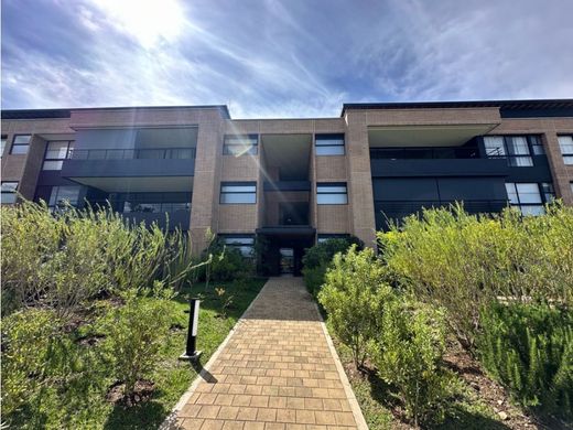 Daire Rionegro, Departamento de Antioquia