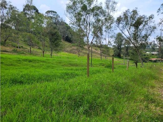 Αγροτεμάχιο σε Carmen de Viboral, El Carmen de Viboral