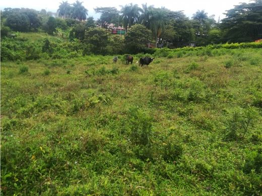 Grond in Pereira, Departamento de Risaralda