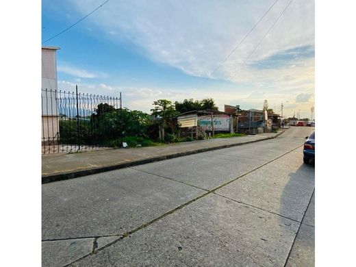 Arsa Armenia, Quindío Department