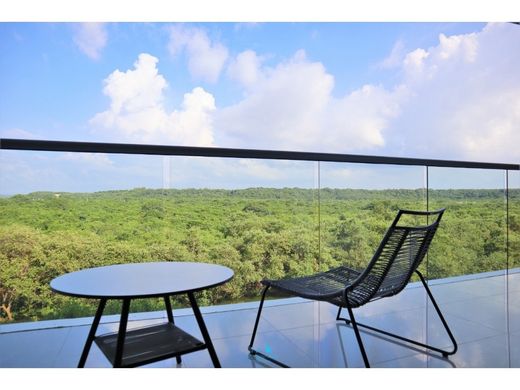 Daire Cartagena, Cartagena de Indias