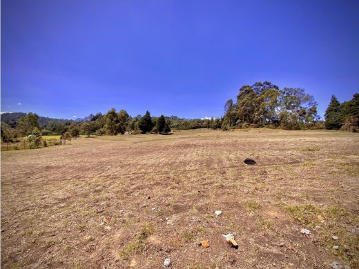 Teren w Guarne, Departamento de Antioquia