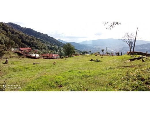 Arsa Medellín, Departamento de Antioquia
