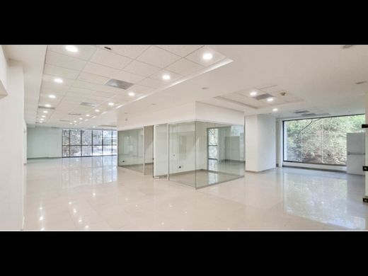 办公室  麦德林, Medellín