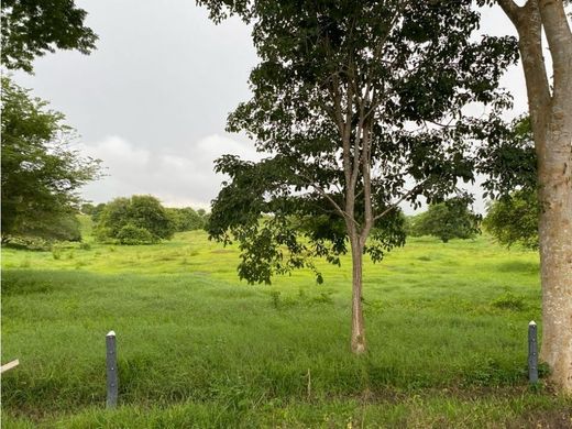 Terreno a Turbaco, Departamento de Bolívar