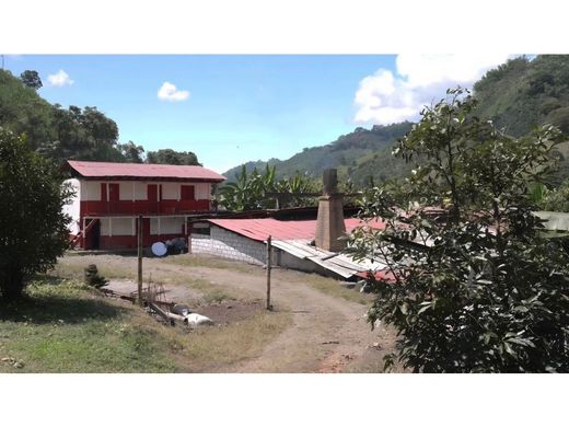 Farmhouse in Neira, Departamento de Caldas