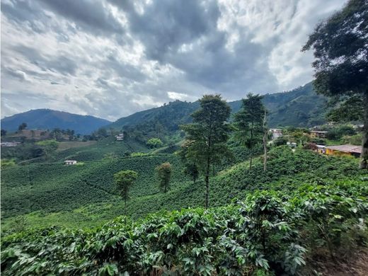 ﻣﻨﺰﻝ ﺭﻳﻔﻲ/ ﺑﻴﺖ ﻤﺰﺭﻋﺔ ﻓﻲ Chinchiná, Departamento de Caldas