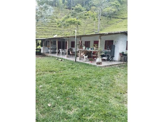 전원/농가 / Salento, Quindío Department