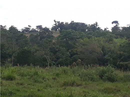 Ferme à Pueblo Nuevo, Departamento de Córdoba