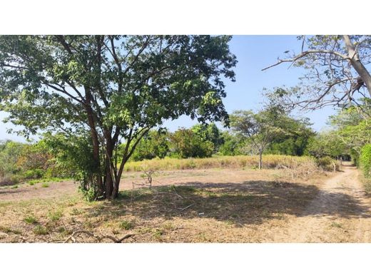 Terreno en Santo Tomás, Atlántico