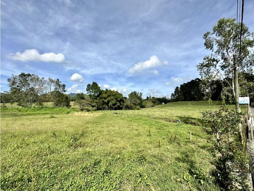 Terreno a Rionegro, Departamento de Antioquia