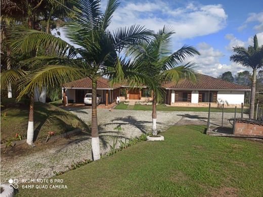 Ferme à Rionegro, Departamento de Antioquia