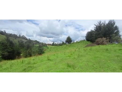 Terrain à Retiro, Departamento de Antioquia