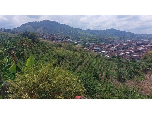 Terrain à Pereira, Departamento de Risaralda