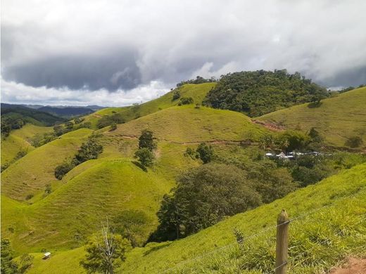 Rustik ya da çiftlik Caracolí, Departamento de Antioquia
