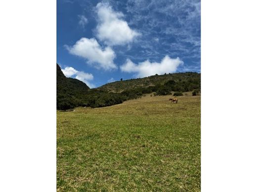 地皮  Sopó, Departamento de Cundinamarca