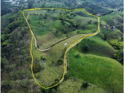 Rustik ya da çiftlik Armenia, Quindío Department